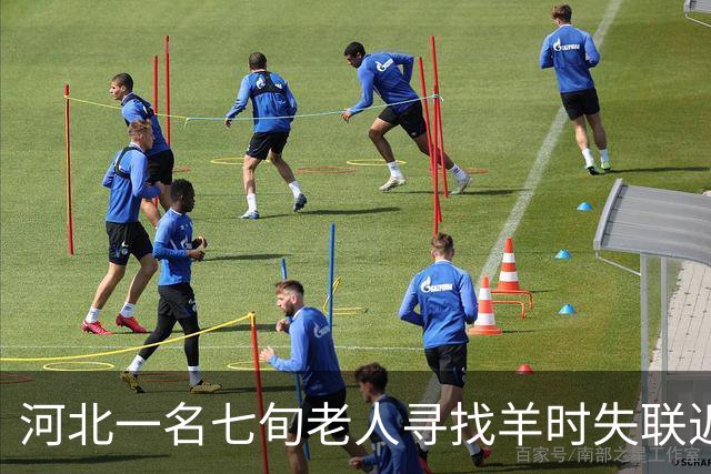 河北一名七旬老人寻找羊时失联近三个月，家属呼吁公众关注